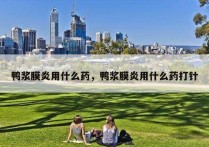 鸭浆膜炎用什么药，鸭浆膜炎用什么药打针