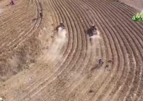 金秋十月 秋粮收获正当时 全国秋粮已收11.35亿亩完成86.9%