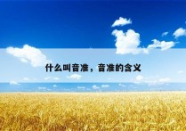 什么叫音准，音准的含义