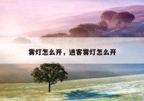 雾灯怎么开，逍客雾灯怎么开